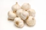 Garlic Group Stock Photo