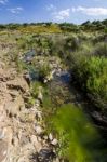 Beautiful Spring View Of A Countryside Stream Of Water Located In Portugal Stock Photo