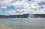 Wellington, New Zealand - February 11 : Waterfront In Wellington Stock Photo