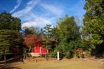 Red Shrine At Tofukuji Temple Stock Photo