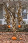 House Decorated With Pumpkins. New England. Usa Stock Photo