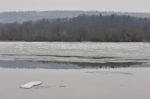 Beautiful Image With A Lake And Forest In The Winter Time Stock Photo