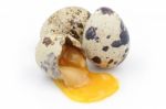 Broken Quail Egg Stock Photo