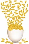 Dollar Egg Stock Photo