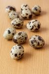 Quail Eggs Stock Photo