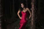 Beautiful Young Woman In The Gardens Wearing A Long Silk Red Dress Stock Photo