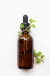 A Bottle Of Oregano Essential Oil With Fresh Oregano Leaves On W Stock Photo