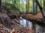 Scenic View Of The Ashdown Forest In Sussex Stock Photo