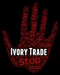 Stop Ivory Trade Represents Elephant Tusk And Business Stock Photo