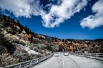 Nature Scenes On Blue Ridge Parkway Great Smoky Mountains Stock Photo