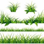 Spring Green Grass Borders Set Stock Photo