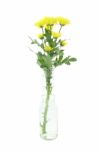 Side Yellow Chrysanthemum Flower In Bottle Of Water Stock Photo