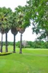 Golf Field Stock Photo