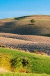 Tuscany Stock Photo