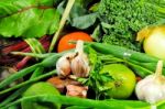 Happy Harvest Stock Photo