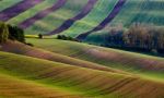 Moravia Hillsides. Spring, April Stock Photo