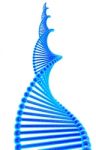 Dna Structure Stock Photo