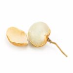 Longan Isolated On A White Background Stock Photo