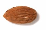 Sweet Almond Drupe Stock Photo