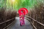 Bamboo Forest. Asian Woman Wearing Japanese Traditional Kimono At Bamboo Forest In Kyoto, Japan Stock Photo