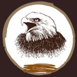 Illustration Of Eagle, Hawk Bird Stock Photo