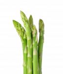 Asparagus Isolated On The White Background Stock Photo