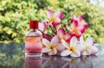 Beautiful Bunch Of White Pink And Yellow Flower Plumeria Or Fran Stock Photo