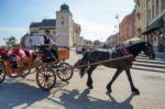 Horse And Carriage In The Old Market Square In Warsaw Stock Photo