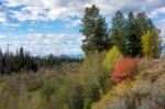 Autumn Colours In Wyoming Stock Photo