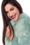 My New Fur Coat ! Stock Photo