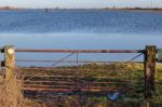 Flooded Land Near Ely Stock Photo