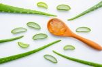 Aloe Vera On White Background Stock Photo