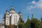 Targu Mures, Transylvania/romania - September 17 : Ascension Cat Stock Photo