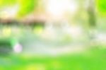 Garden With Blurred Images Stock Photo