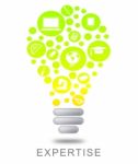 Expertise Lightbulb Indicates Proficient Skills And Experience Stock Photo