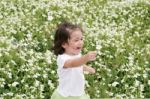 Baby Girl In Garden Of Flowers Stock Photo