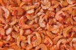 Dried Shrimp Stock Photo