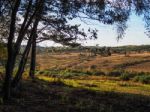 Scenic View Of The Ashdown Forest In Sussex Stock Photo