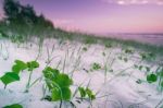 Burleigh Heads Beach During The Day Stock Photo