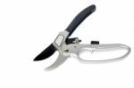 Pruning Shears Stock Photo