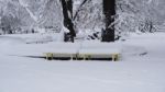 Winter In The Park. Sofia, Bulgaria Stock Photo