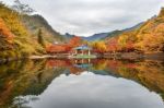 Naejangsan,korea - November 1: Tourists Taking Photos Of The Beautiful Scenery Around Naejangsan Park,south Korea During Autumn Season On November 1, 2015 Stock Photo