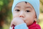 Asian Baby Stock Photo