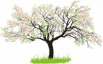 Apple Tree In Spring Stock Photo