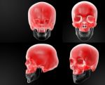 3d Rendering Of Human Skull-upper Half Stock Photo