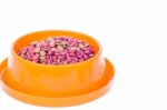 Dry Cat Food In Orange Bowl Isolated On White Background Stock Photo