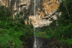 Purlingbrook Falls In Springbrook Stock Photo