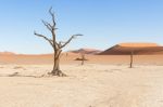 Dead Vlei Near Sesriem In Namibia Stock Photo