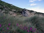 Beach Of Furnas In The Algarve Stock Photo