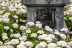 Concrete Pedestal In The Marigolds Field Stock Photo